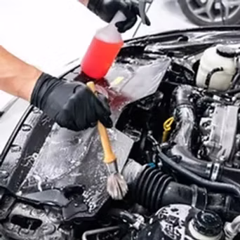 Engine Bay Cleaning